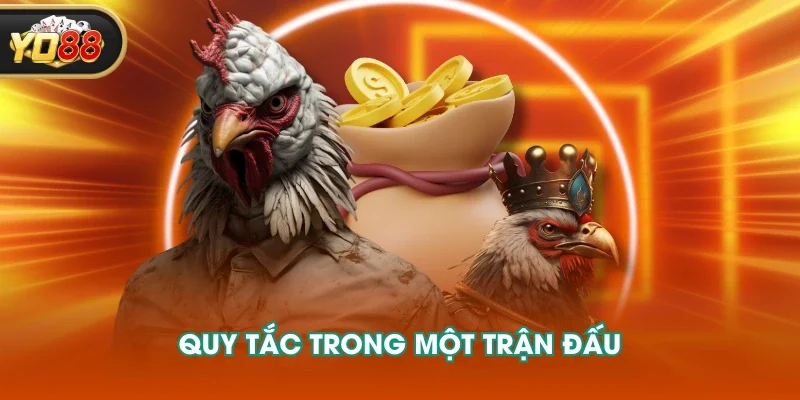 Quy tắc trong một trận đấu Quy tắc trong một trận đấu